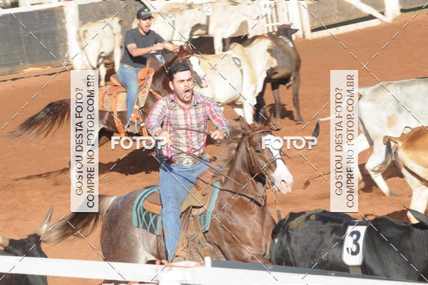 Buy your photos of the eventTEAM PENNING  GRANDE FINAL CAMARU on Fotop