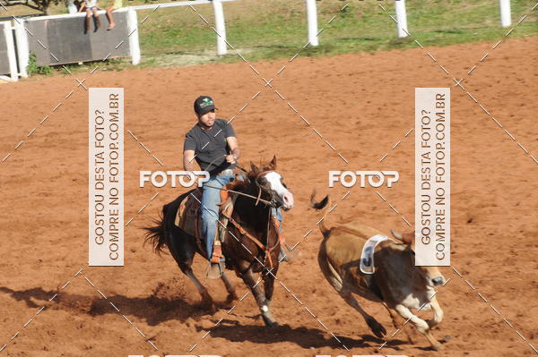 Buy your photos of the eventTEAM PENNING  GRANDE FINAL CAMARU on Fotop