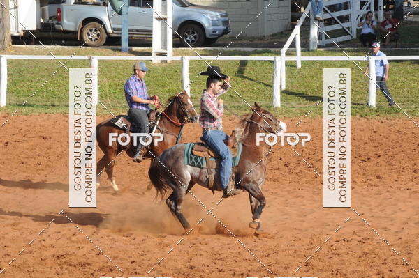 Buy your photos of the eventTEAM PENNING  GRANDE FINAL CAMARU on Fotop