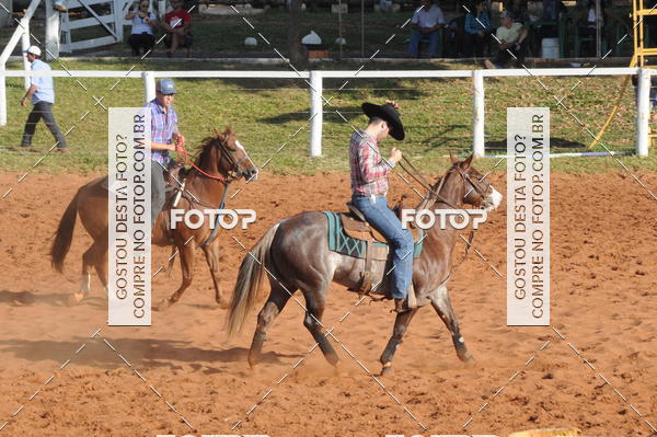Buy your photos of the eventTEAM PENNING  GRANDE FINAL CAMARU on Fotop