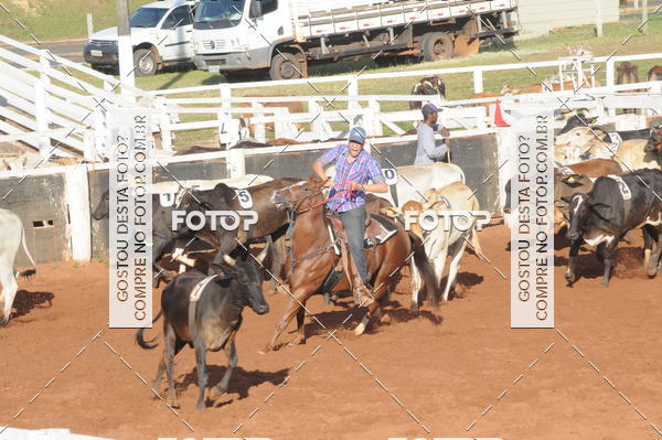 Buy your photos of the eventTEAM PENNING  GRANDE FINAL CAMARU on Fotop