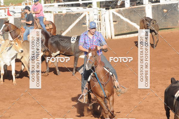 Buy your photos of the eventTEAM PENNING  GRANDE FINAL CAMARU on Fotop