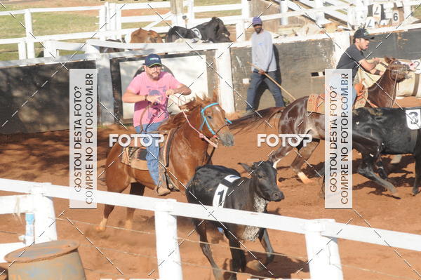 Buy your photos of the eventTEAM PENNING  GRANDE FINAL CAMARU on Fotop