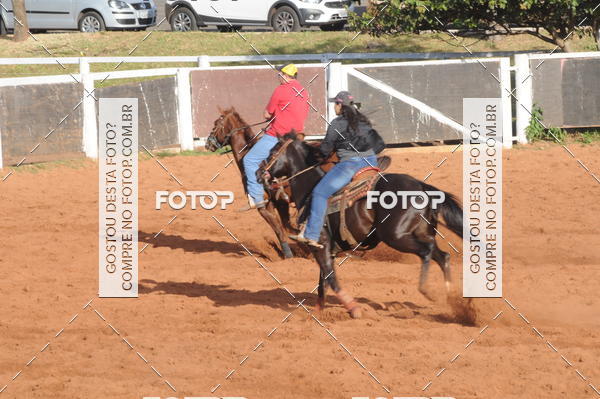 Buy your photos of the eventTEAM PENNING  GRANDE FINAL CAMARU on Fotop