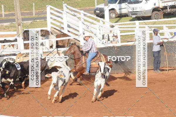 Buy your photos of the eventTEAM PENNING  GRANDE FINAL CAMARU on Fotop