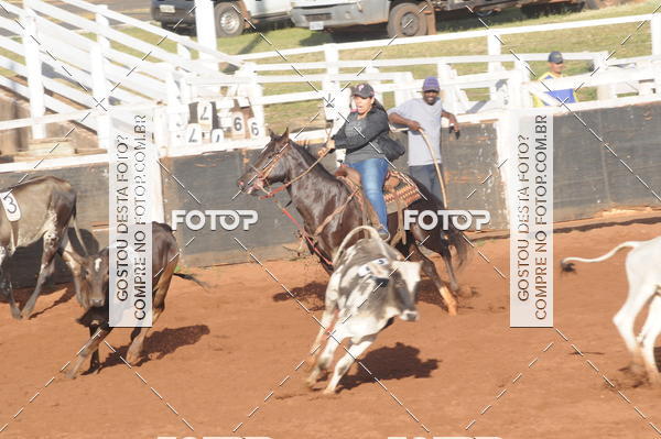 Buy your photos of the eventTEAM PENNING  GRANDE FINAL CAMARU on Fotop