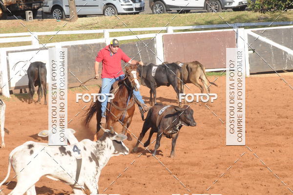 Buy your photos of the eventTEAM PENNING  GRANDE FINAL CAMARU on Fotop
