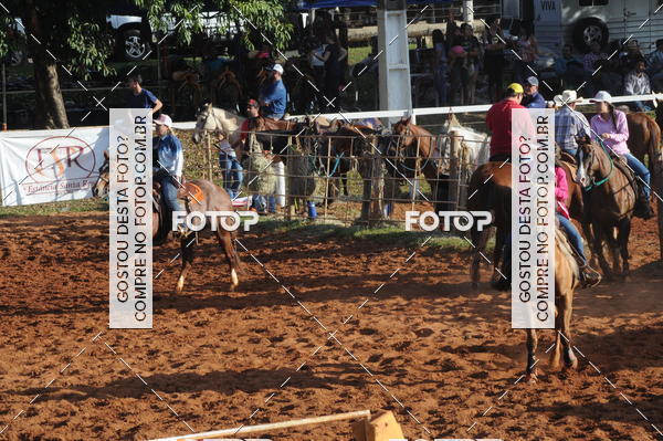 Buy your photos of the eventTEAM PENNING  GRANDE FINAL CAMARU on Fotop