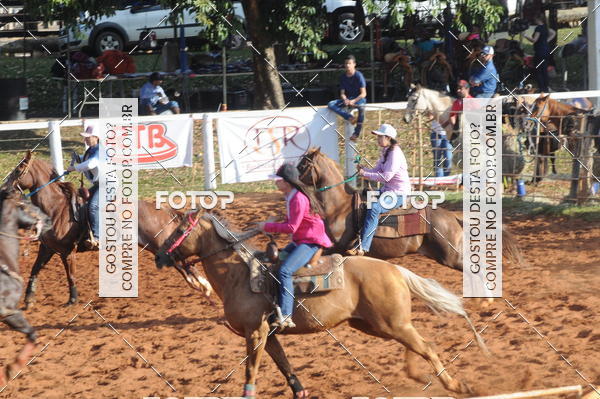 Buy your photos of the eventTEAM PENNING  GRANDE FINAL CAMARU on Fotop