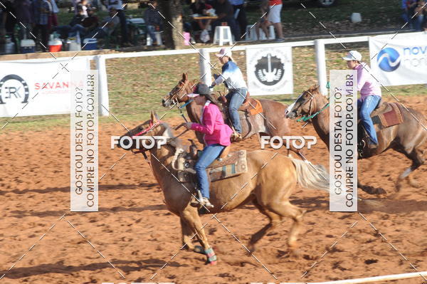 Buy your photos of the eventTEAM PENNING  GRANDE FINAL CAMARU on Fotop