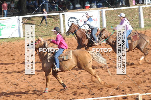 Buy your photos of the eventTEAM PENNING  GRANDE FINAL CAMARU on Fotop
