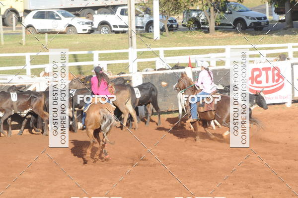 Buy your photos of the eventTEAM PENNING  GRANDE FINAL CAMARU on Fotop