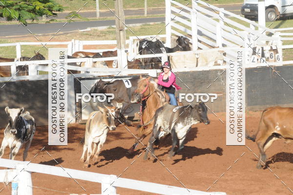 Buy your photos of the eventTEAM PENNING  GRANDE FINAL CAMARU on Fotop