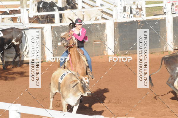 Buy your photos of the eventTEAM PENNING  GRANDE FINAL CAMARU on Fotop