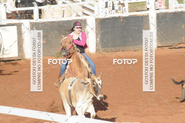 Buy your photos of the eventTEAM PENNING  GRANDE FINAL CAMARU on Fotop
