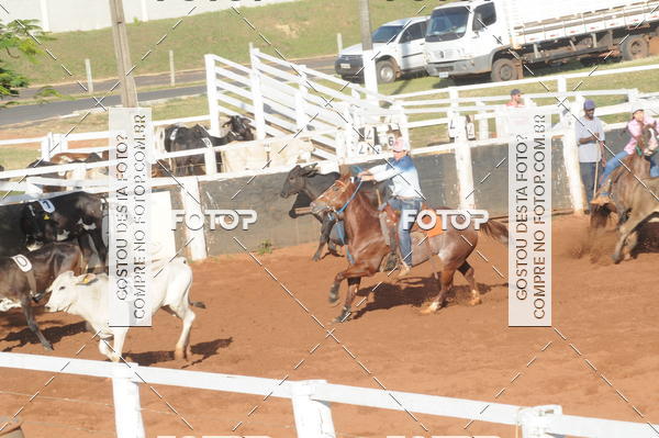 Buy your photos of the eventTEAM PENNING  GRANDE FINAL CAMARU on Fotop