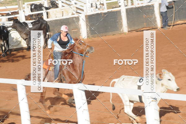 Buy your photos of the eventTEAM PENNING  GRANDE FINAL CAMARU on Fotop