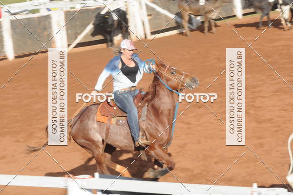 Buy your photos of the eventTEAM PENNING  GRANDE FINAL CAMARU on Fotop