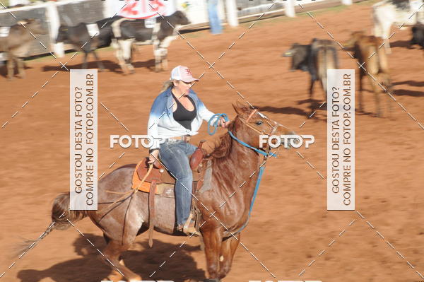 Buy your photos of the eventTEAM PENNING  GRANDE FINAL CAMARU on Fotop