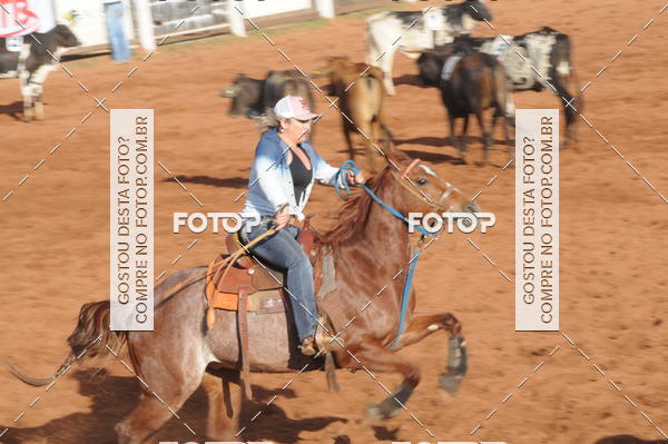 Buy your photos of the eventTEAM PENNING  GRANDE FINAL CAMARU on Fotop