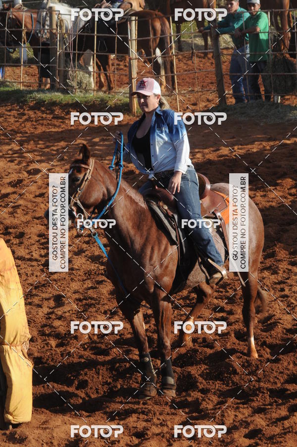 Buy your photos of the eventTEAM PENNING  GRANDE FINAL CAMARU on Fotop
