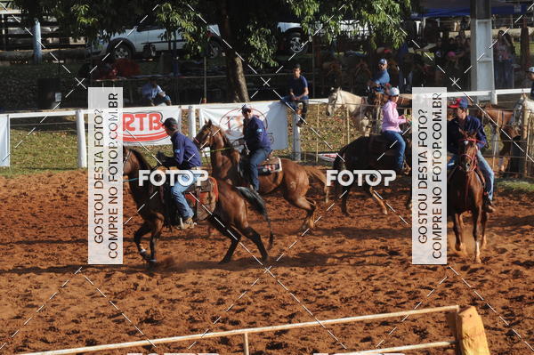 Buy your photos of the eventTEAM PENNING  GRANDE FINAL CAMARU on Fotop