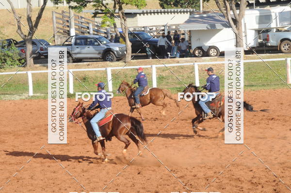 Buy your photos of the eventTEAM PENNING  GRANDE FINAL CAMARU on Fotop