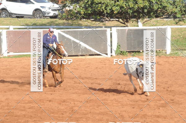 Buy your photos of the eventTEAM PENNING  GRANDE FINAL CAMARU on Fotop