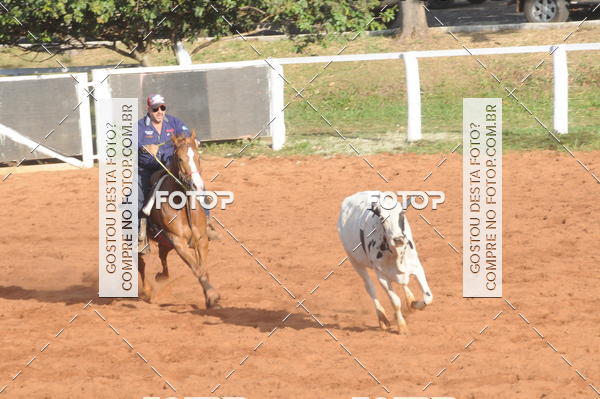Buy your photos of the eventTEAM PENNING  GRANDE FINAL CAMARU on Fotop