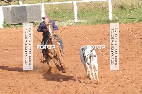 Buy your photos of the eventTEAM PENNING  GRANDE FINAL CAMARU on Fotop