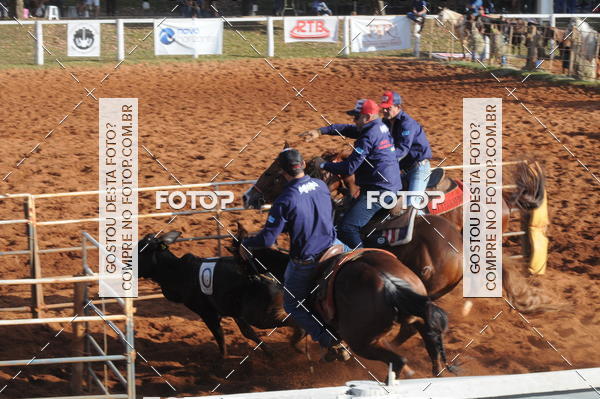 Buy your photos of the eventTEAM PENNING  GRANDE FINAL CAMARU on Fotop