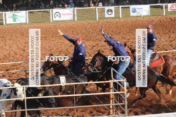 Buy your photos of the eventTEAM PENNING  GRANDE FINAL CAMARU on Fotop
