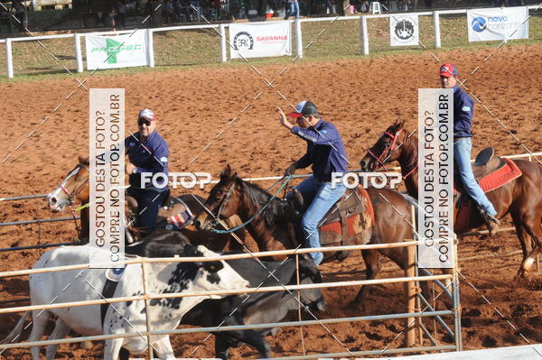 Buy your photos of the eventTEAM PENNING  GRANDE FINAL CAMARU on Fotop