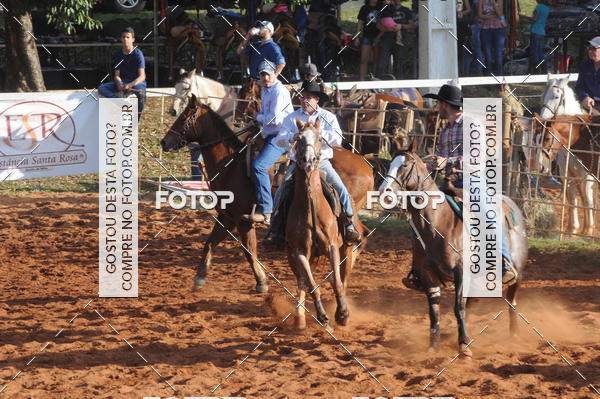 Buy your photos of the eventTEAM PENNING  GRANDE FINAL CAMARU on Fotop