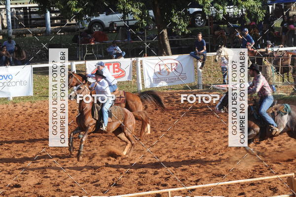 Buy your photos of the eventTEAM PENNING  GRANDE FINAL CAMARU on Fotop