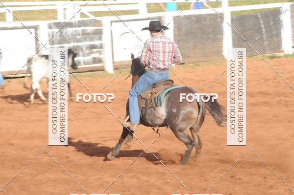 Buy your photos of the eventTEAM PENNING  GRANDE FINAL CAMARU on Fotop