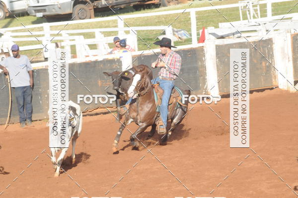 Buy your photos of the eventTEAM PENNING  GRANDE FINAL CAMARU on Fotop