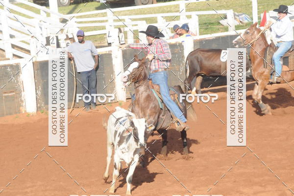 Buy your photos of the eventTEAM PENNING  GRANDE FINAL CAMARU on Fotop