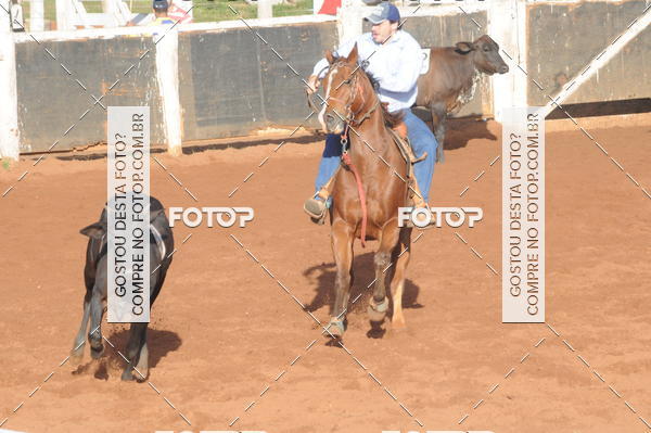 Buy your photos of the eventTEAM PENNING  GRANDE FINAL CAMARU on Fotop