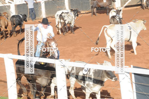 Buy your photos of the eventTEAM PENNING  GRANDE FINAL CAMARU on Fotop