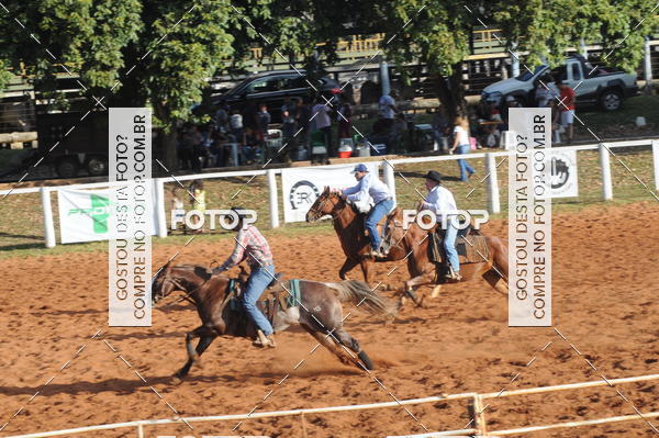 Buy your photos of the eventTEAM PENNING  GRANDE FINAL CAMARU on Fotop