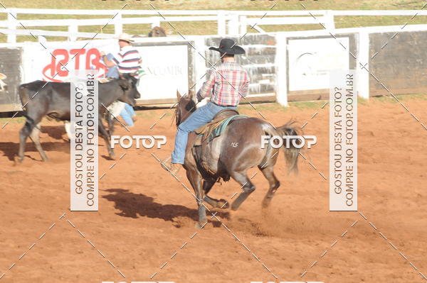 Buy your photos of the eventTEAM PENNING  GRANDE FINAL CAMARU on Fotop