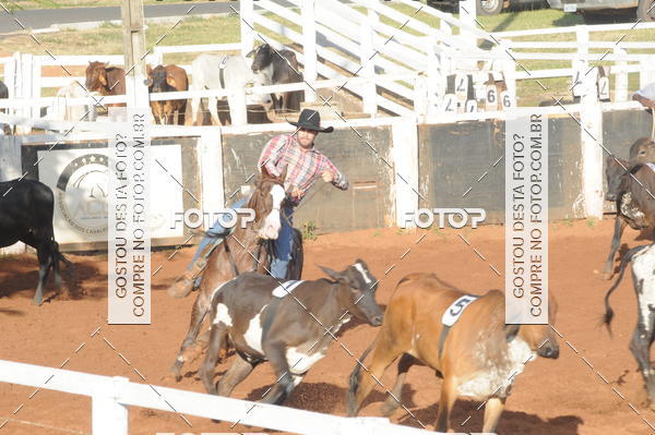 Buy your photos of the eventTEAM PENNING  GRANDE FINAL CAMARU on Fotop