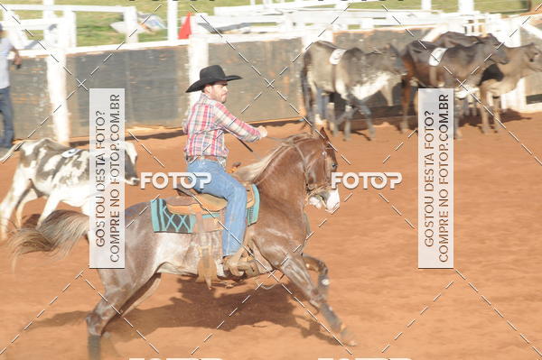 Buy your photos of the eventTEAM PENNING  GRANDE FINAL CAMARU on Fotop