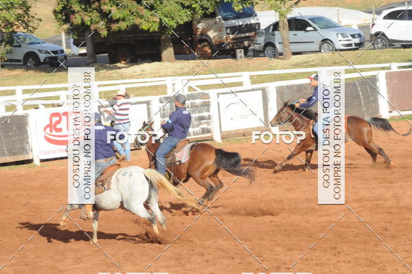 Buy your photos of the eventTEAM PENNING  GRANDE FINAL CAMARU on Fotop
