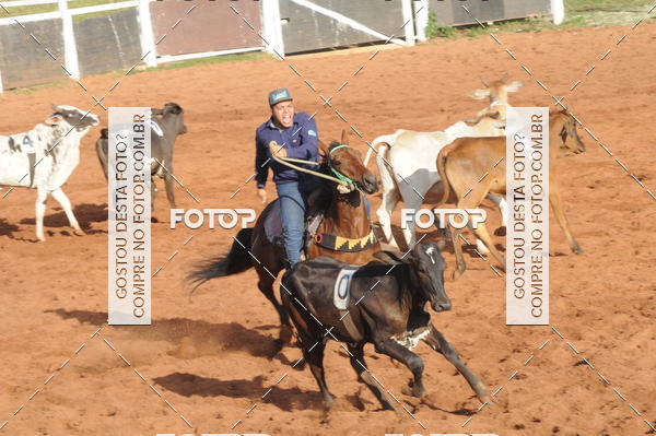 Buy your photos of the eventTEAM PENNING  GRANDE FINAL CAMARU on Fotop
