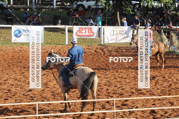 Buy your photos of the eventTEAM PENNING  GRANDE FINAL CAMARU on Fotop
