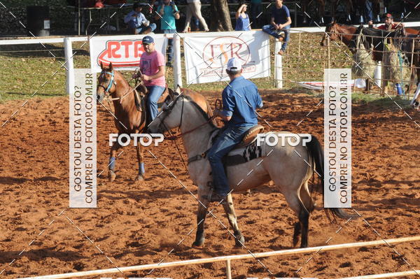 Buy your photos of the eventTEAM PENNING  GRANDE FINAL CAMARU on Fotop
