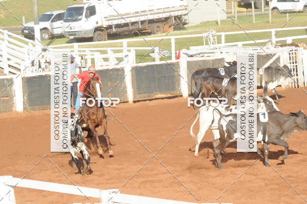 Buy your photos of the eventTEAM PENNING  GRANDE FINAL CAMARU on Fotop