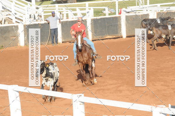 Buy your photos of the eventTEAM PENNING  GRANDE FINAL CAMARU on Fotop